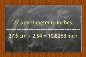 27.5 cm to inches