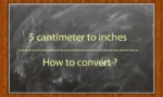 5cmto inches how to